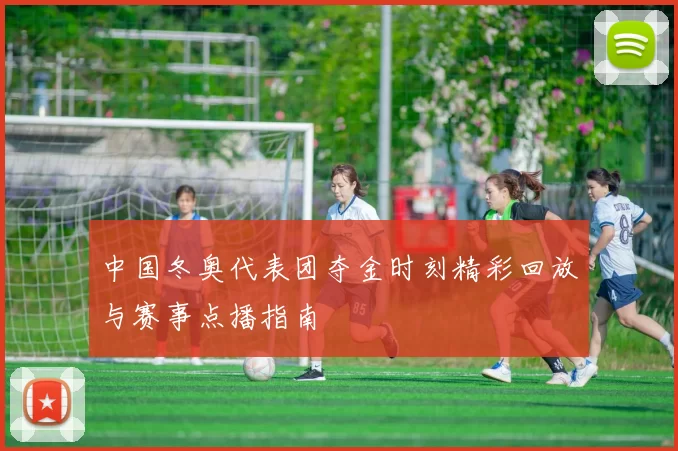 中国冬奥代表团夺金时刻精彩回放与赛事点播指南