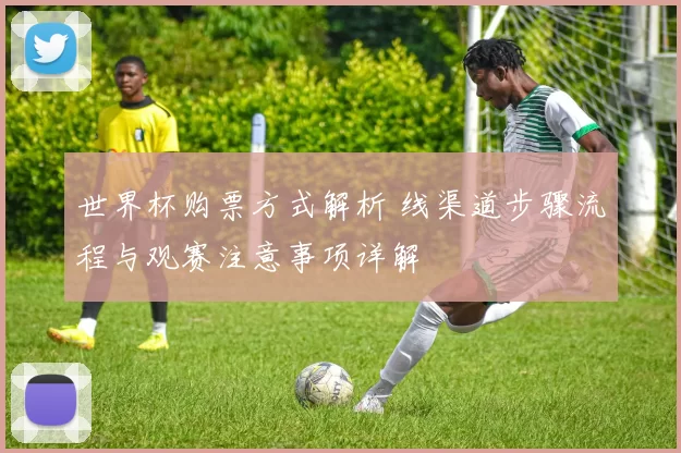 世界杯购票方式解析 线渠道步骤流程与观赛注意事项详解