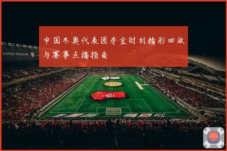 中国冬奥代表团夺金时刻精彩回放与赛事点播指南