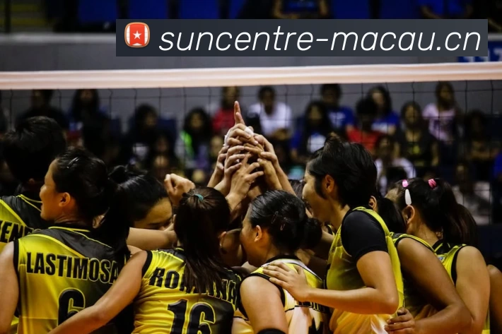 App Interface Preview